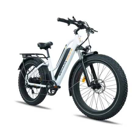 Senada Fat Tire Electric Bike for Adults